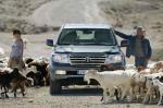 Toyota Land Cruiser 200 2007 года